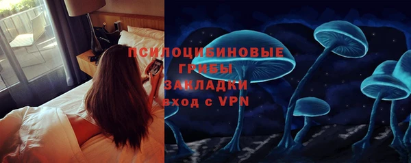 дурь Алексин