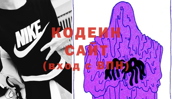 дурь Алексин