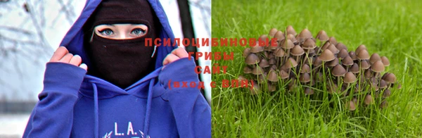 прущая мука Алексеевка